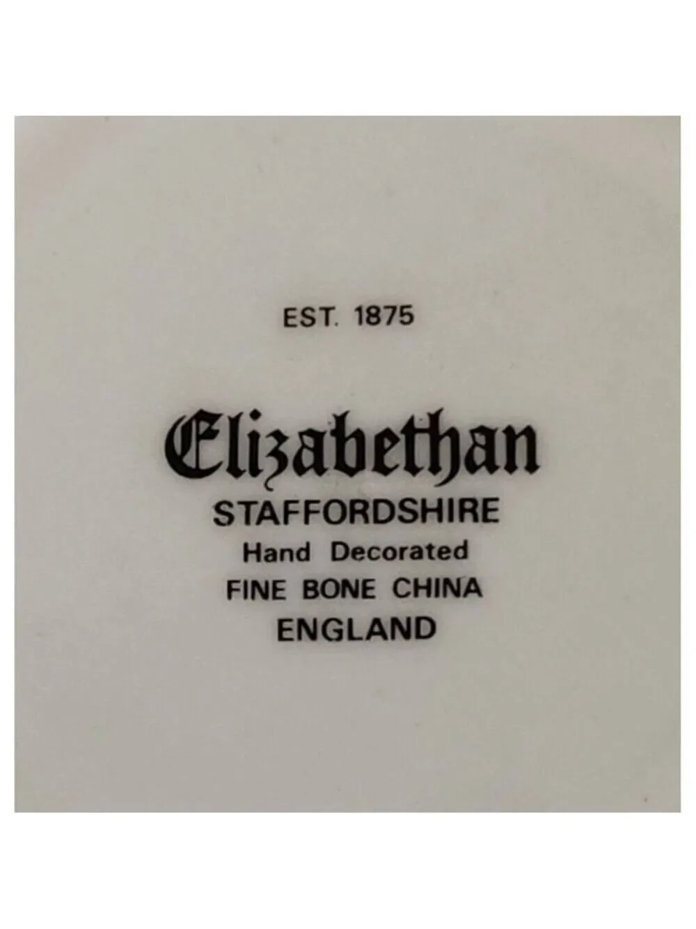 Elizabethan Staffordshire Hand Decorated 50th Anniversary Fine Bone China Tea Cu